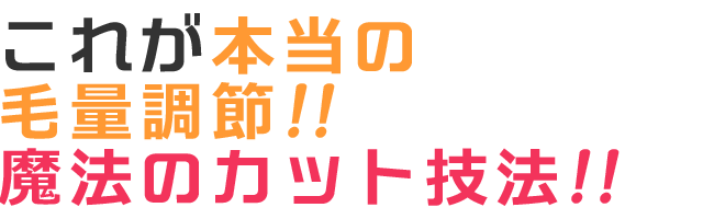 これが本当の毛量調節!!魔法のカット技法!!